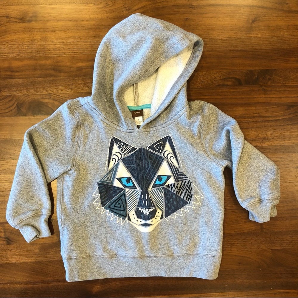 EUC Tea Collection Size 3 Hoodie (for Toddlers) with Embroidery